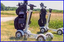 POSH-M13 POSH Golf Cart Electric Skateboard Electric Buggy